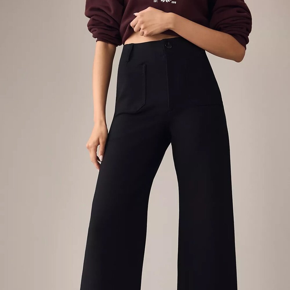 Anthropologie Maeve Black Colette Ponte Crop Wide-Leg Pants (Size 24)